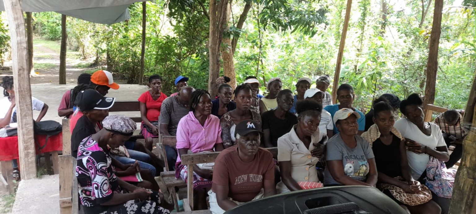 Mixed audience at event